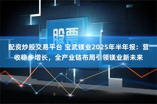 配资炒股交易平台 宝武镁业2025年半年报：营收稳步增长，全产业链布局引领镁业新未来