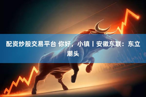 配资炒股交易平台 你好，小镇丨安徽东联：东立潮头