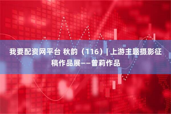 我要配资网平台 秋韵（116）| 上游主题摄影征稿作品展——曾莉作品