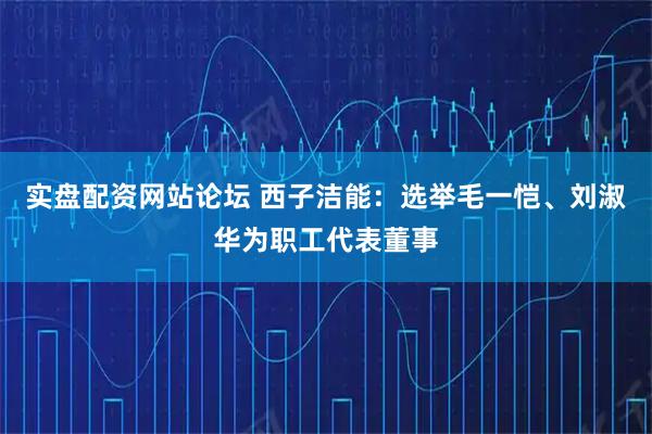 实盘配资网站论坛 西子洁能：选举毛一恺、刘淑华为职工代表董事